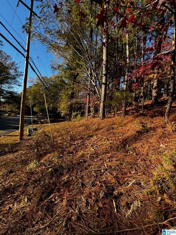 3724 CHESTNUT RIDGE LANE, Vestavia Hills, AL 35216