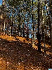 3724 CHESTNUT RIDGE LANE, Vestavia Hills, AL 35216