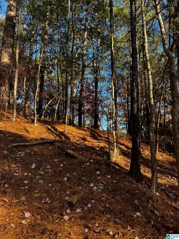 3724 CHESTNUT RIDGE LANE, Vestavia Hills, AL 35216