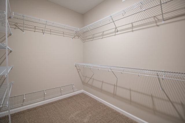 252 Autumnwood Farms, Clarksville, TN 37042