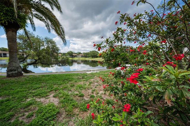 1870 PINE RIDGE WAY W G1, Palm Harbor, FL 34684