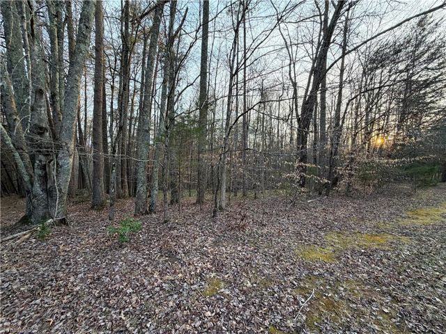 1202 Farm Road, Pilot Mountain, NC 27041