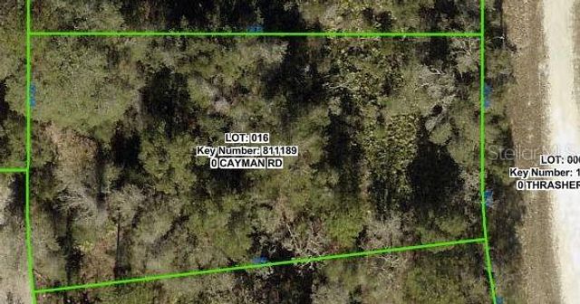 CAYMAN ROAD, Weeki Wachee, FL 34614