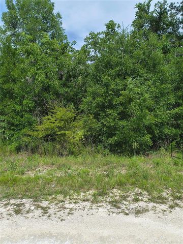 CAYMAN ROAD, Weeki Wachee, FL 34614
