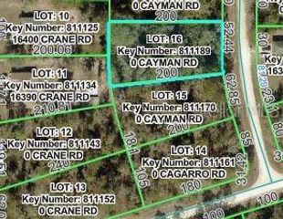 CAYMAN ROAD, Weeki Wachee, FL 34614