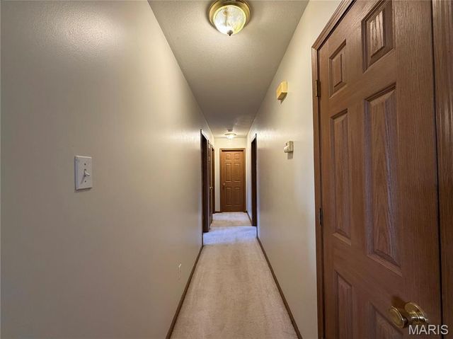 719 White Dogwood Court, St Clair, MO 63077