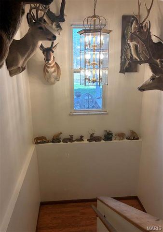 719 White Dogwood Court, St Clair, MO 63077