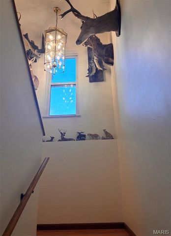 719 White Dogwood Court, St Clair, MO 63077