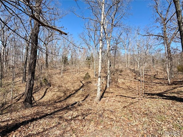 719 White Dogwood Court, St Clair, MO 63077