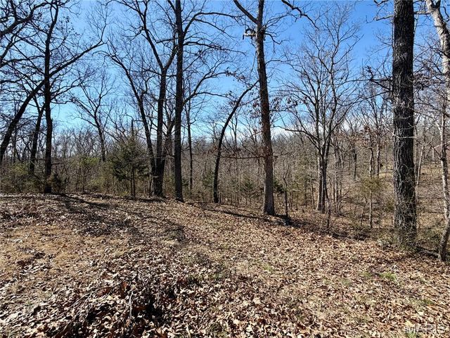 719 White Dogwood Court, St Clair, MO 63077