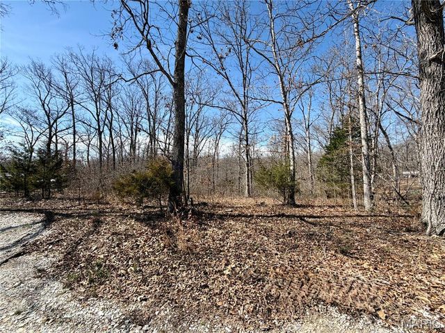 719 White Dogwood Court, St Clair, MO 63077