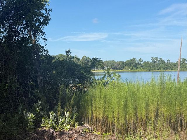 TBD MALAUKA RADIAL, Ocklawaha, FL 32179