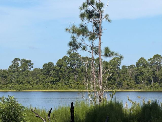 TBD MALAUKA RADIAL, Ocklawaha, FL 32179