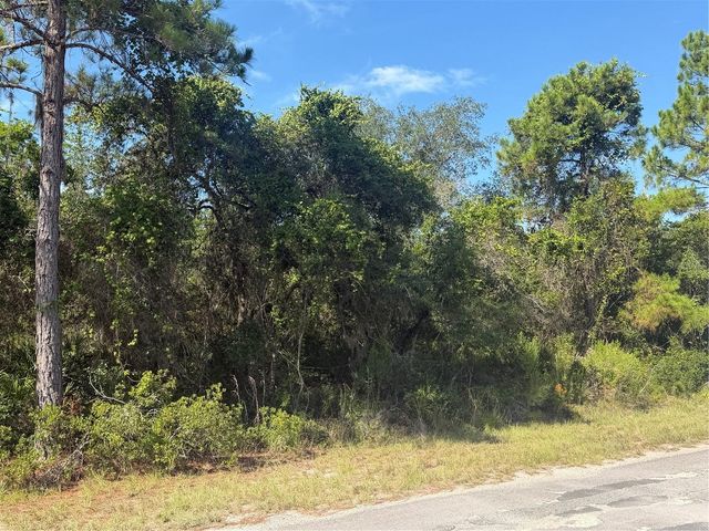 TBD MALAUKA RADIAL, Ocklawaha, FL 32179