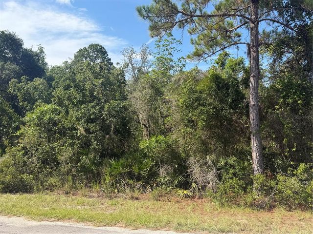 TBD MALAUKA RADIAL, Ocklawaha, FL 32179