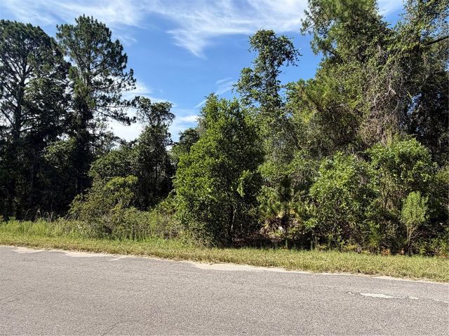 TBD MALAUKA RADIAL, Ocklawaha, FL 32179