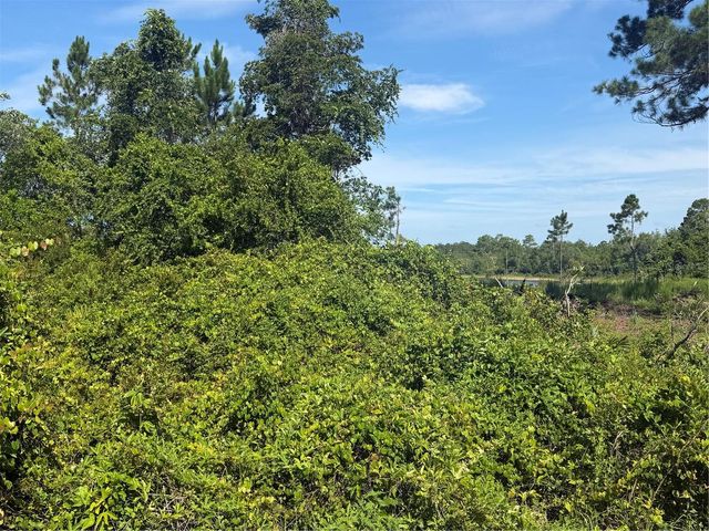 TBD MALAUKA RADIAL, Ocklawaha, FL 32179