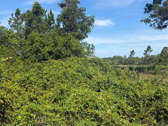TBD MALAUKA RADIAL, Ocklawaha, FL 32179