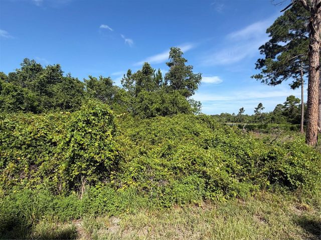 TBD MALAUKA RADIAL, Ocklawaha, FL 32179