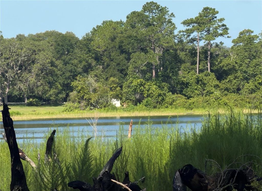 TBD MALAUKA RADIAL, Ocklawaha, FL 32179