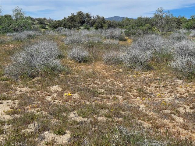 5 Fletcher, Anza, CA 92539