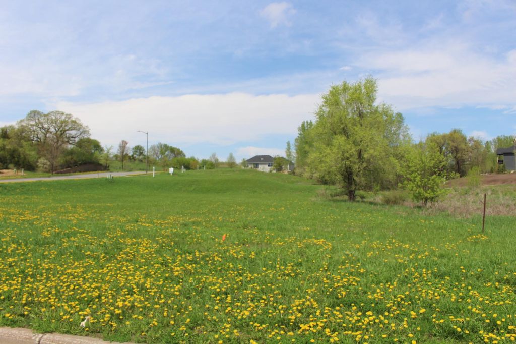 1780 River Shore Drive, Hastings, MN 55033 — photo 4
