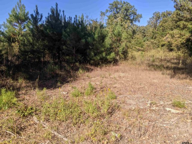 CR 240, Tyler, TX 75705