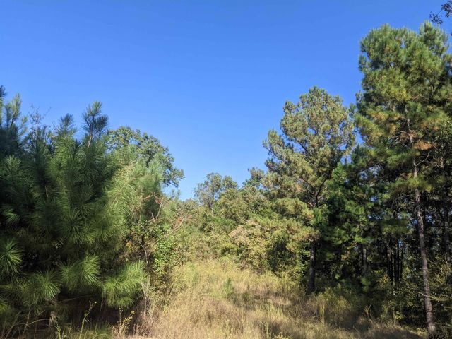 CR 240, Tyler, TX 75705