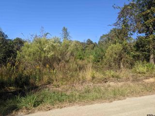 CR 240, Tyler, TX 75705