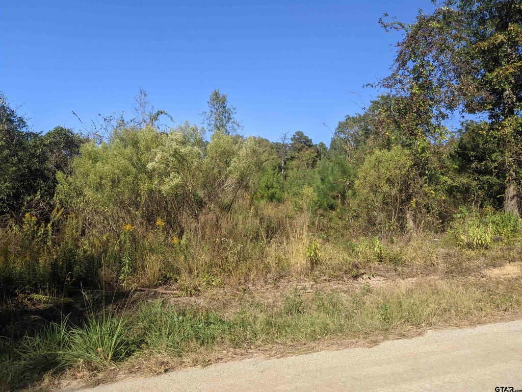 CR 240, Tyler, TX 75705