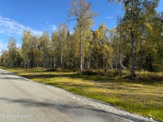 005 S Baldy Lake Airpark Drive, Unit #5A-B, Talkeetna, AK 99676