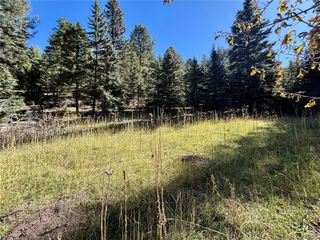 12301 Black Hawk Trail, Conifer, CO 80433