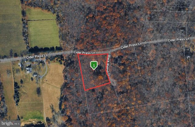 540 BLACK WALNUT DR, Quakertown, PA 18951