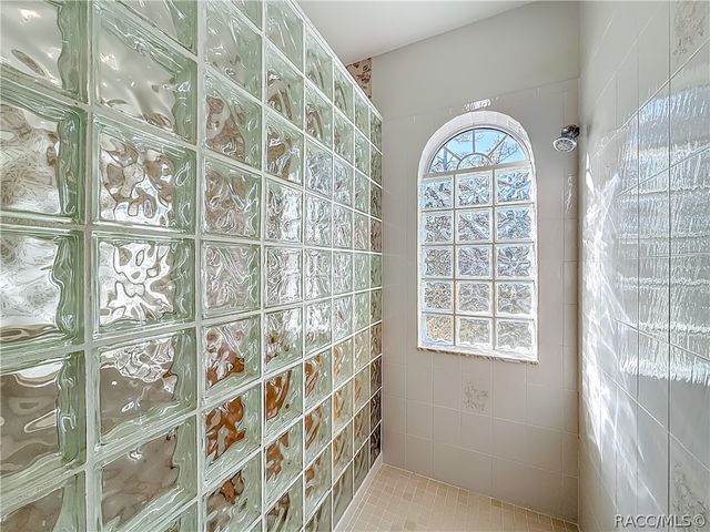 3629 W Coachwood Street, Beverly Hills, FL 34465