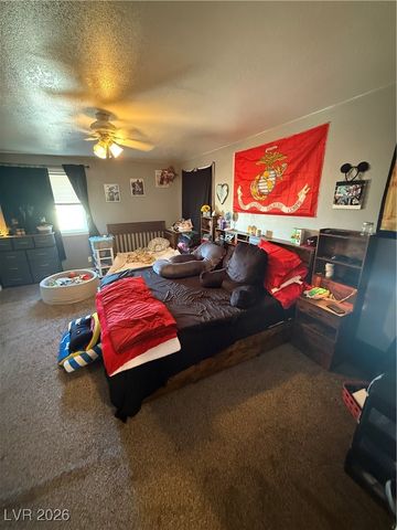 10 Avenue D, Mcgill, NV 89318