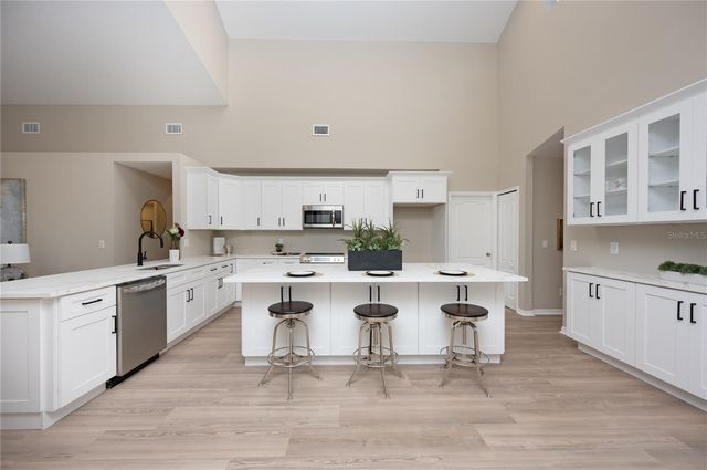 15014 ARBOR HOLLOW DRIVE, Odessa, FL 33556