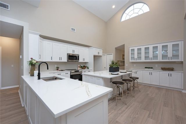 15014 ARBOR HOLLOW DRIVE, Odessa, FL 33556