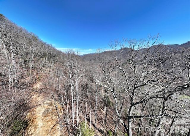 99999 Green Ridge Falls Road 17, Barnardsville, NC 28709