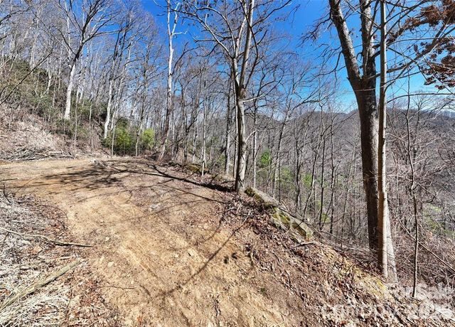 99999 Green Ridge Falls Road 17, Barnardsville, NC 28709