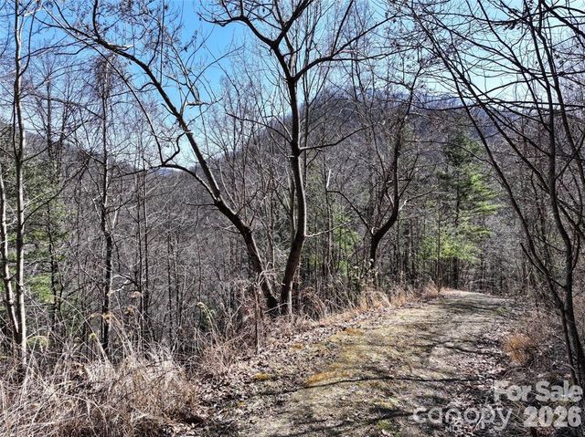 99999 Green Ridge Falls Road 17, Barnardsville, NC 28709