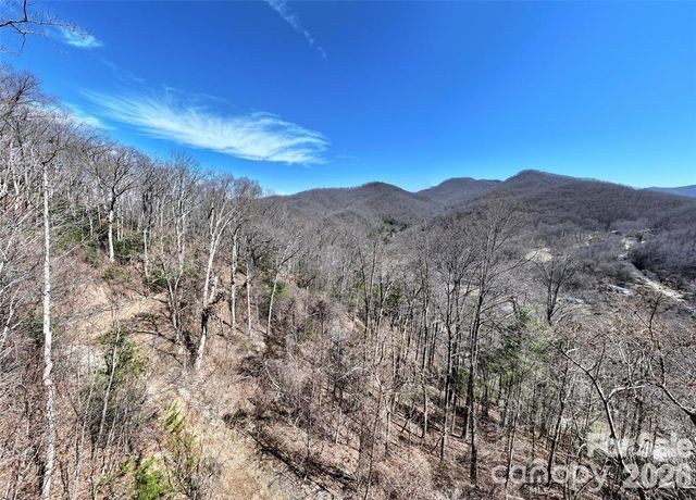 99999 Green Ridge Falls Road 17, Barnardsville, NC 28709