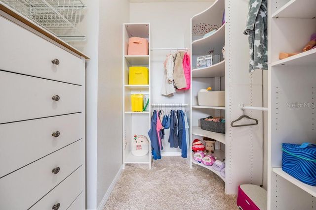 14125 WATERVILLE CIRCLE, Tampa, FL 33626