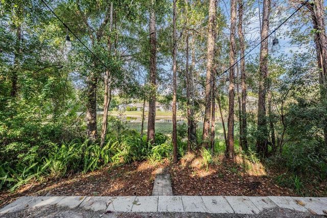 14125 WATERVILLE CIRCLE, Tampa, FL 33626