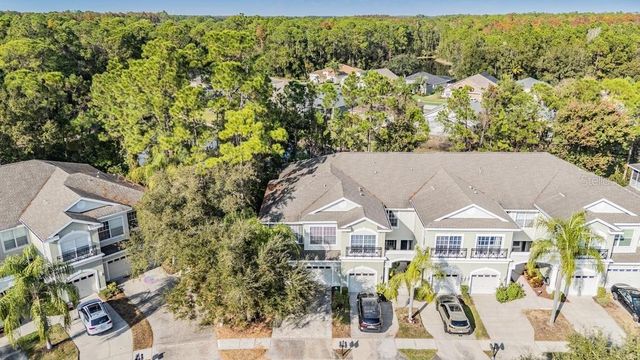 14125 WATERVILLE CIRCLE, Tampa, FL 33626