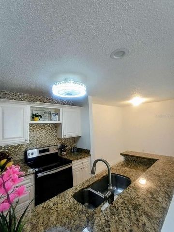 10024 STRAFFORD OAK COURT 807, Tampa, FL 33624