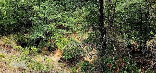 1080 Gonzollas Road, Springtown, TX 76082