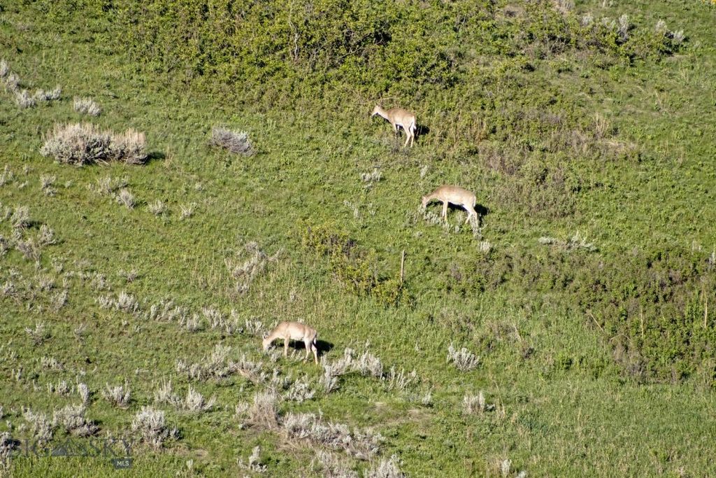 72 Sky Band Trail, Livingston, MT 59047 photo 15