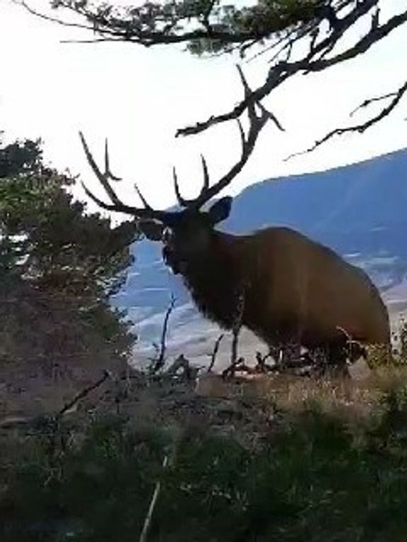 72 Sky Band Trail, Livingston, MT 59047 photo 2