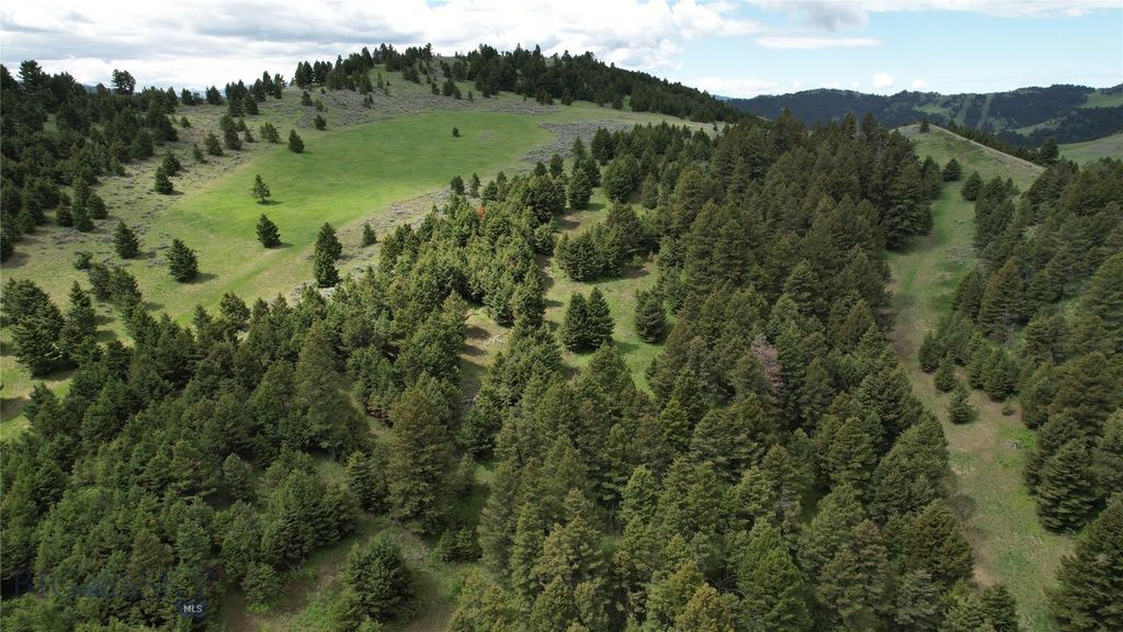 72 Sky Band Trail, Livingston, MT 59047 photo 29