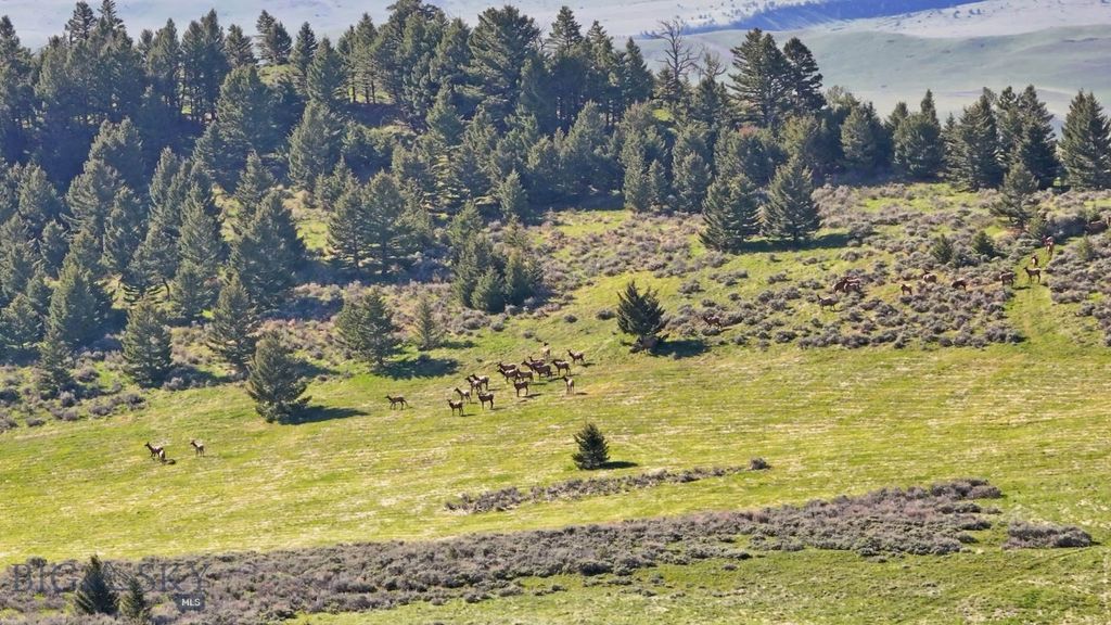 72 Sky Band Trail, Livingston, MT 59047 photo 3